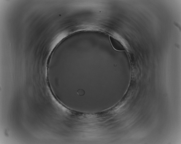 X0000097661095200803071526