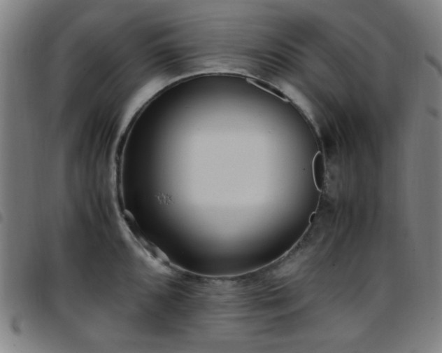X0000097661096200803071526