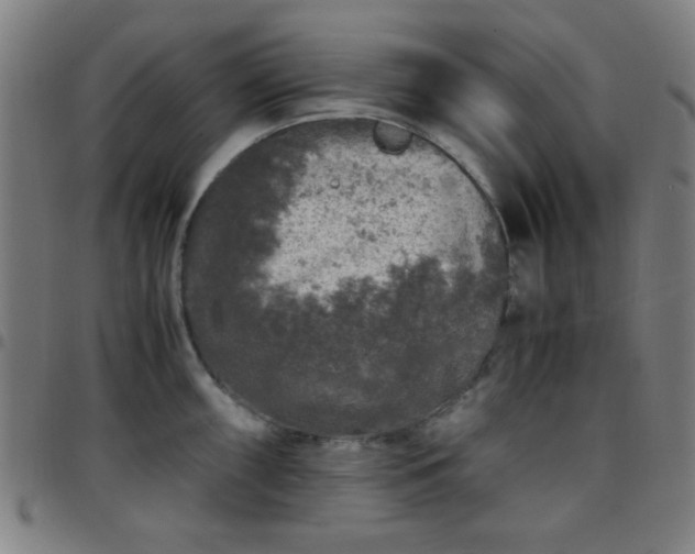X0000097661098200803071526