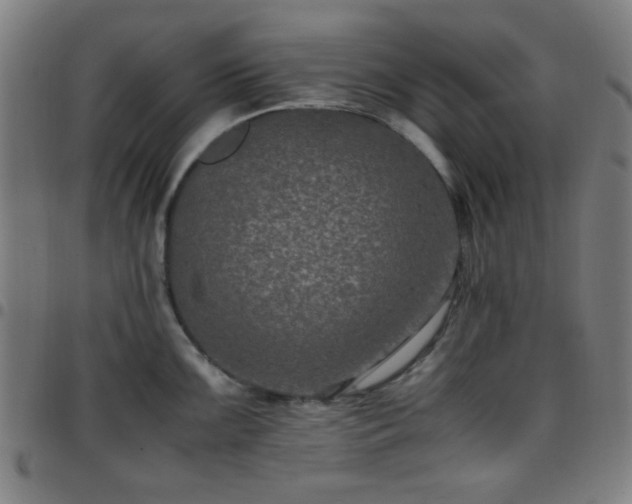 X0000097661099200803071526