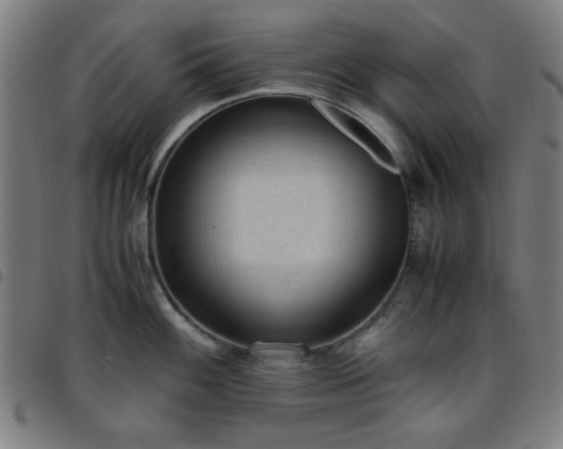 X0000097661100200803071526