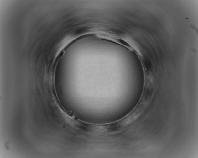 X0000097661101200803071526