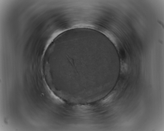 X0000097661102200803071526