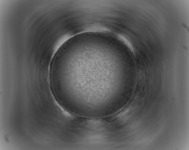 X0000097661103200803071526