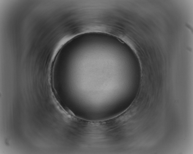 X0000097661104200803071526