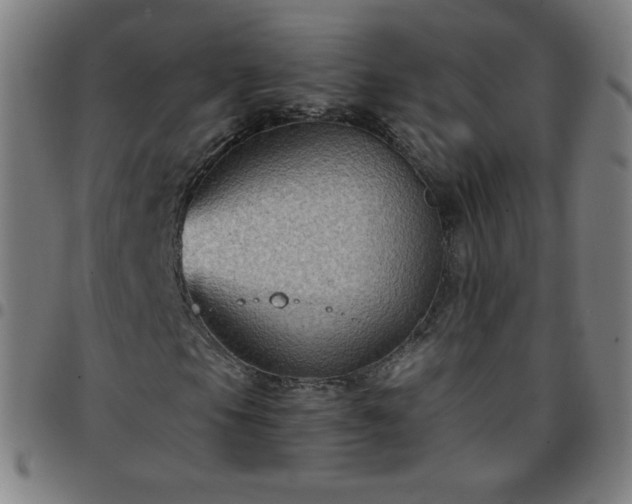 X0000097661105200803071525