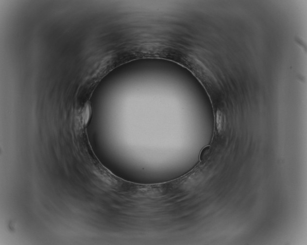 X0000097661107200803071525