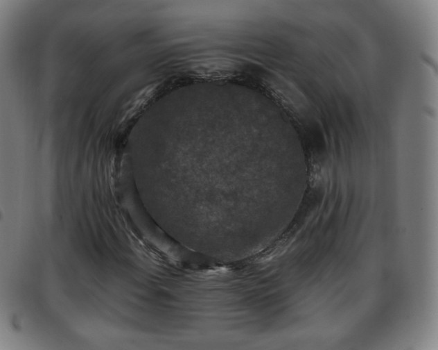 X0000097661108200803071525