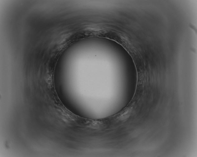 X0000097661109200803071525