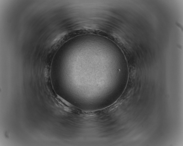 X0000097661110200803071525