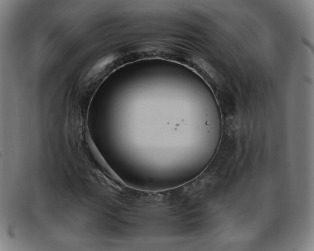 X0000097661111200803071525