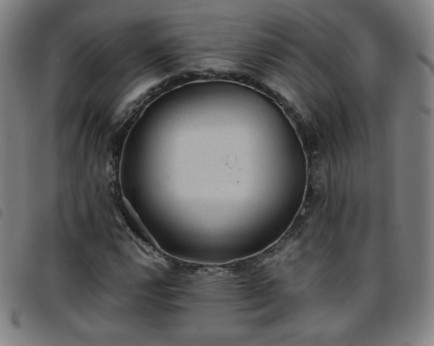 X0000097661112200803071525