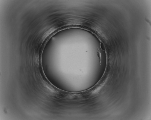 X0000097661113200803071525