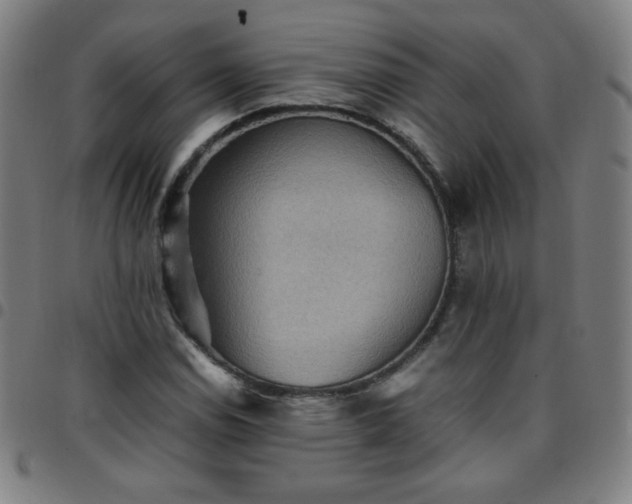 X0000097661114200803071526