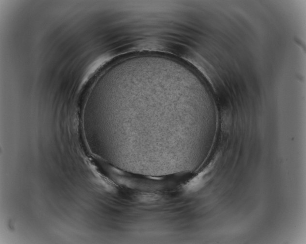 X0000097661115200803071526