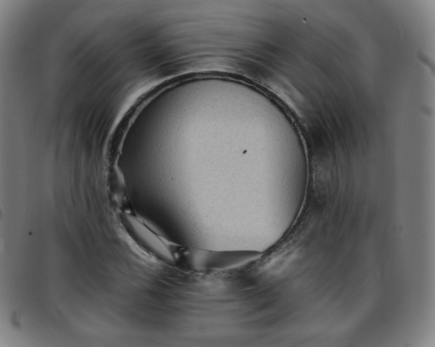 X0000097661116200803071526