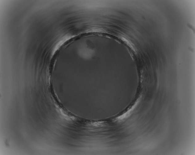 X0000097661117200803071526