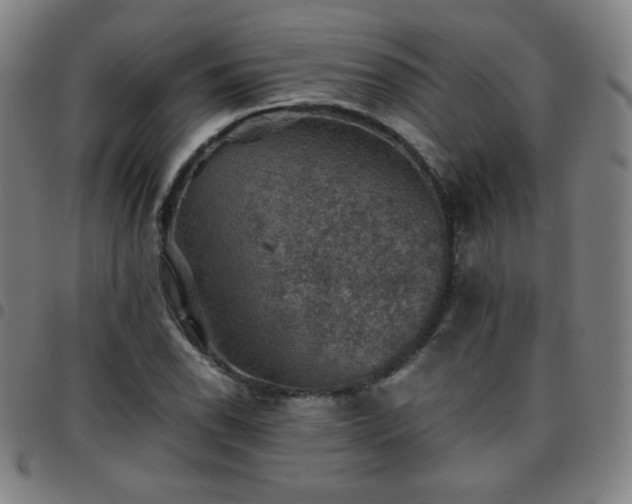 X0000097661118200803071526