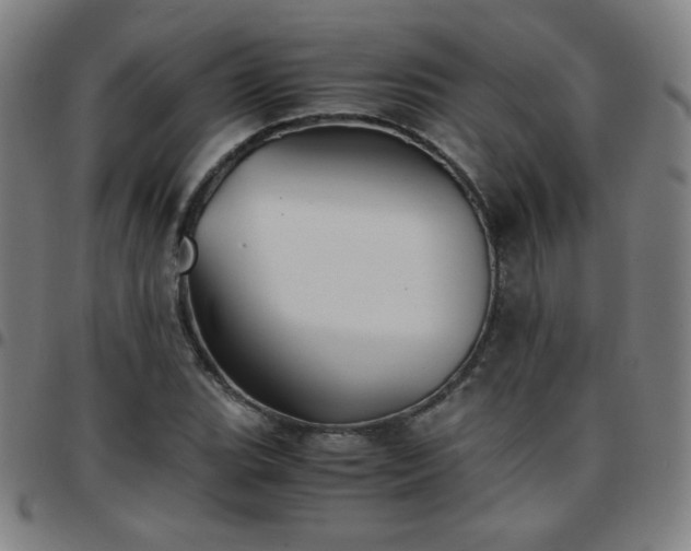 X0000097661119200803071526