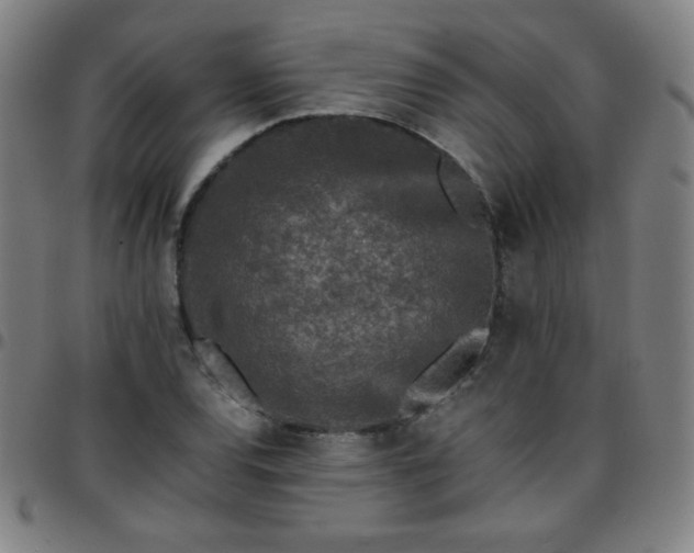 X0000097661120200803071526