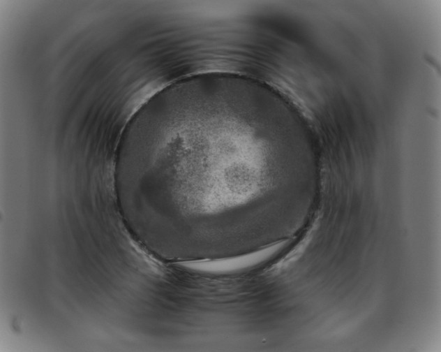 X0000097661121200803071526