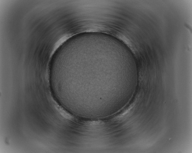 X0000097661122200803071526