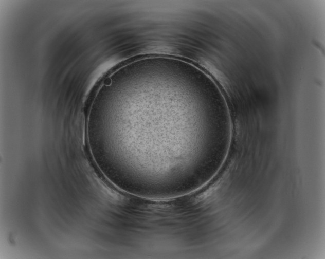 X0000097661123200803071526