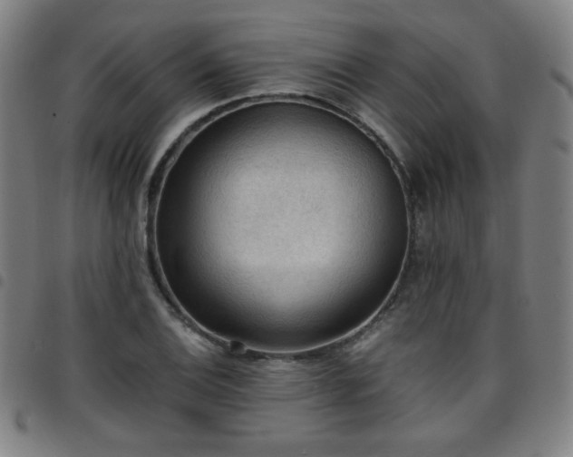 X0000097661124200803071526
