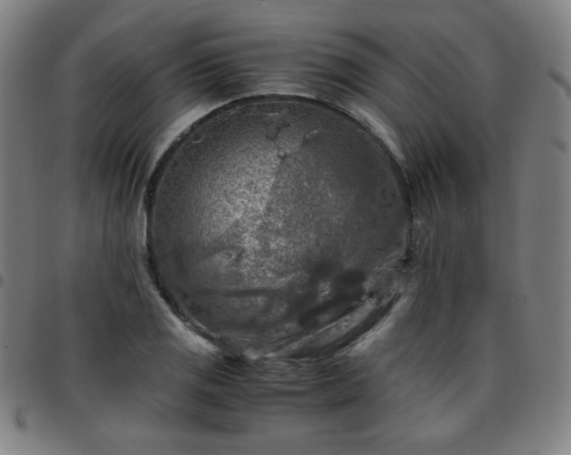 X0000097661125200803071526