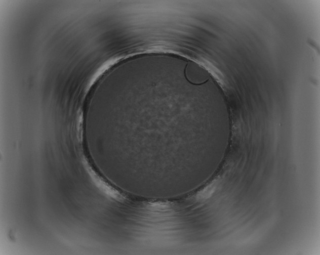 X0000097661126200803071526