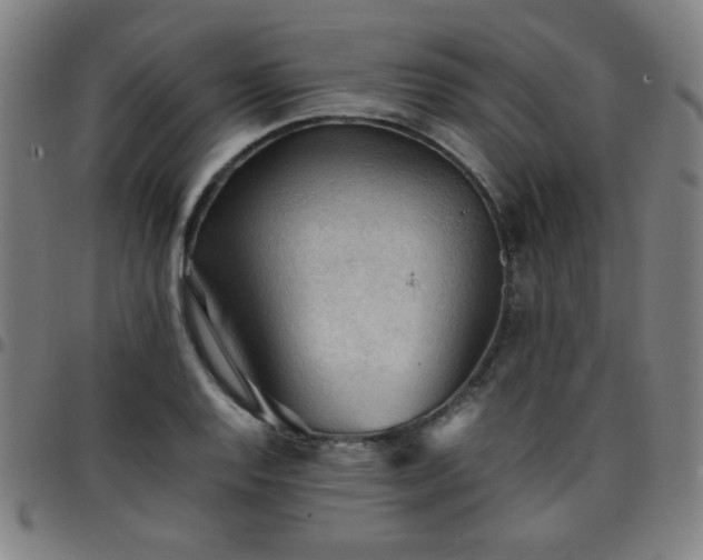 X0000097661128200803071526