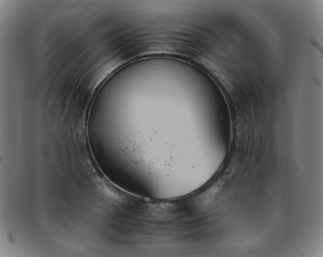 X0000097661129200803071526