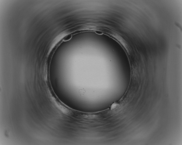X0000097661131200803071526
