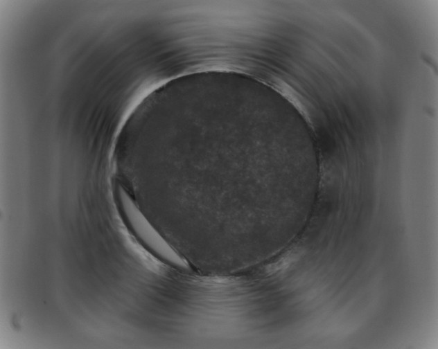 X0000097661132200803071526