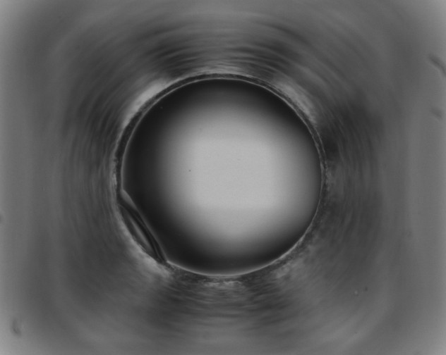 X0000097661133200803071526