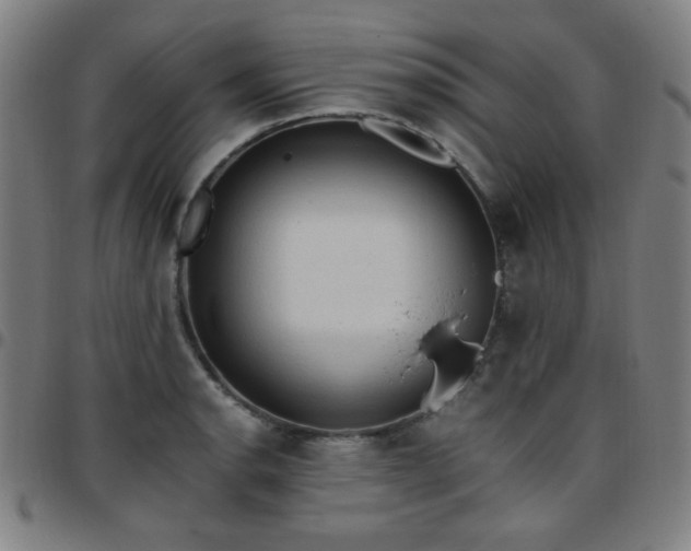 X0000097661134200803071526