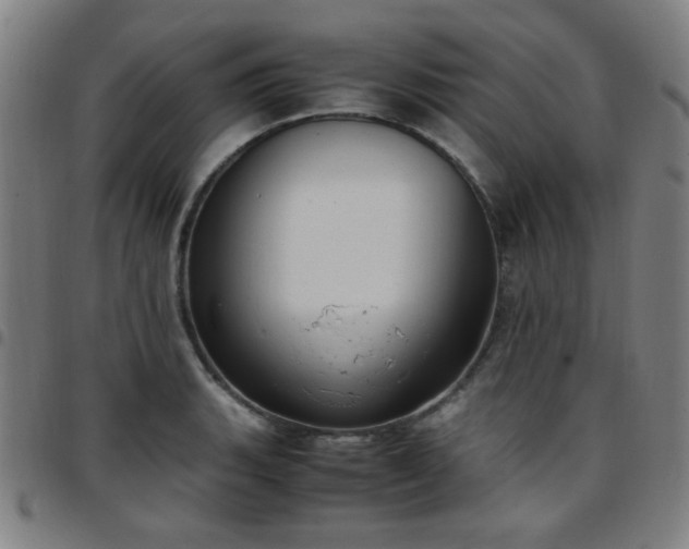 X0000097661135200803071526