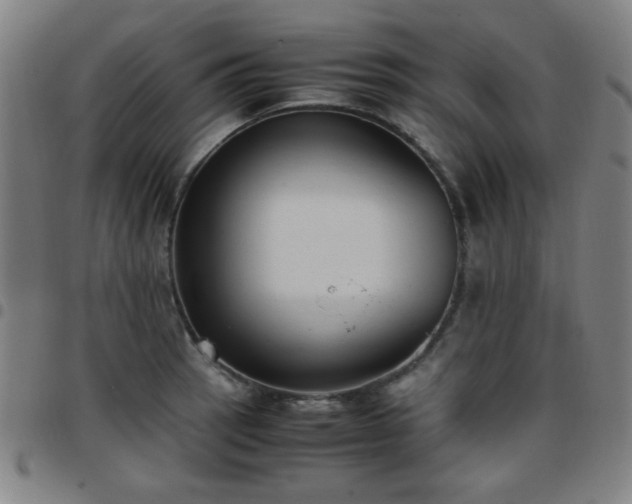 X0000097661137200803071526