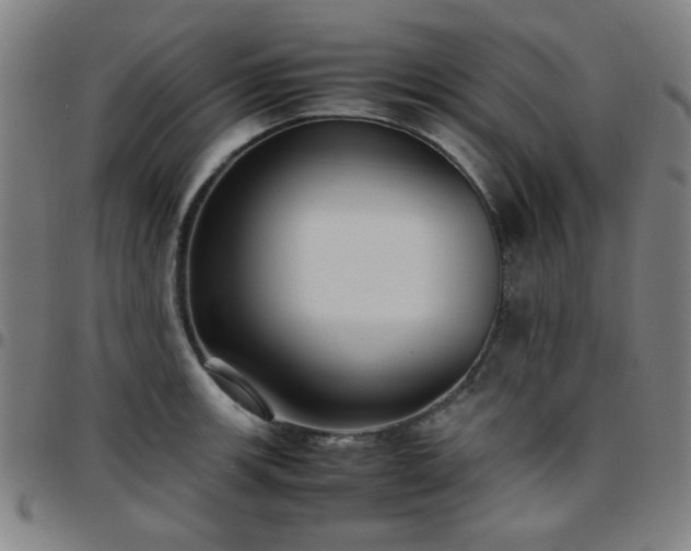 X0000097661139200803071526