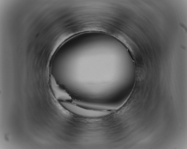 X0000097661140200803071526