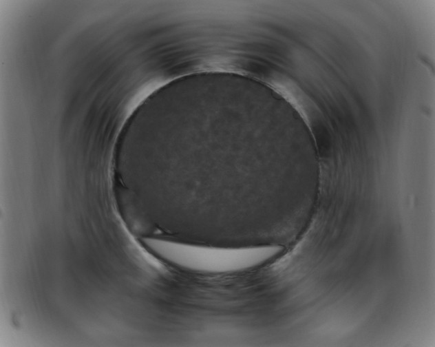 X0000097661141200803071526