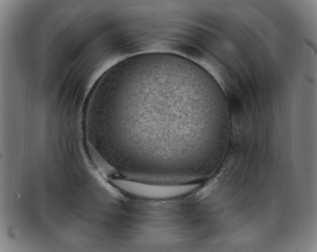 X0000097661142200803071526