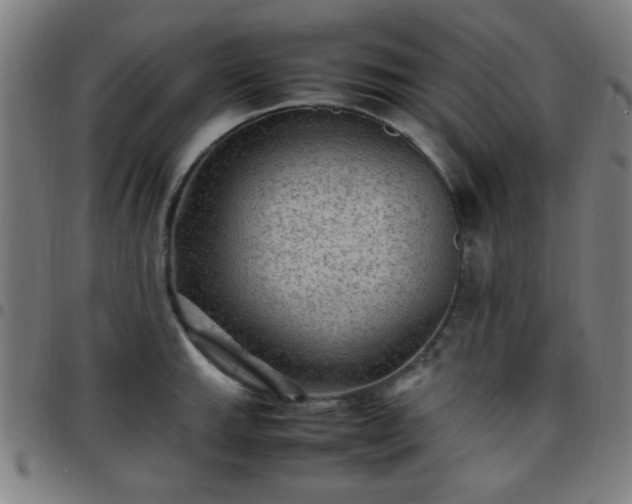 X0000097661143200803071526