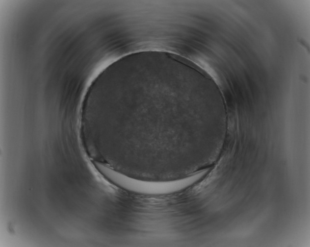 X0000097661144200803071526