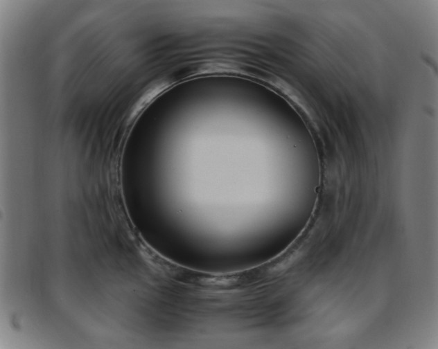 X0000097661145200803071526