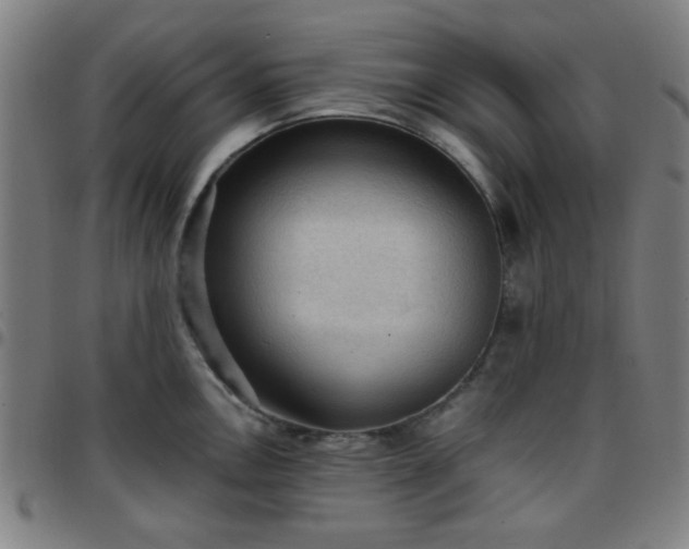 X0000097661146200803071526