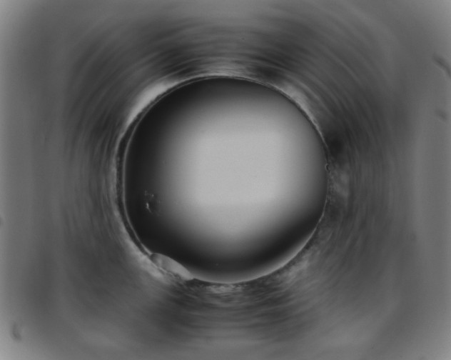 X0000097661147200803071526