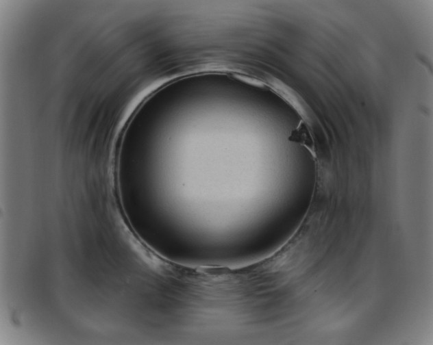 X0000097661148200803071526