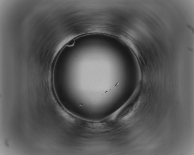 X0000097661149200803071526