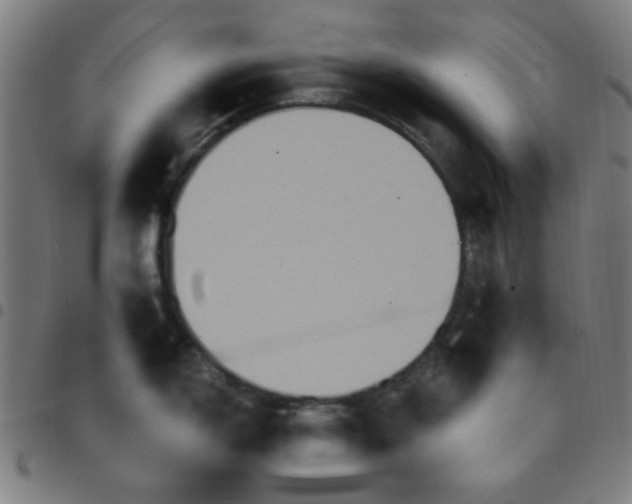 X0000097661150200803071526